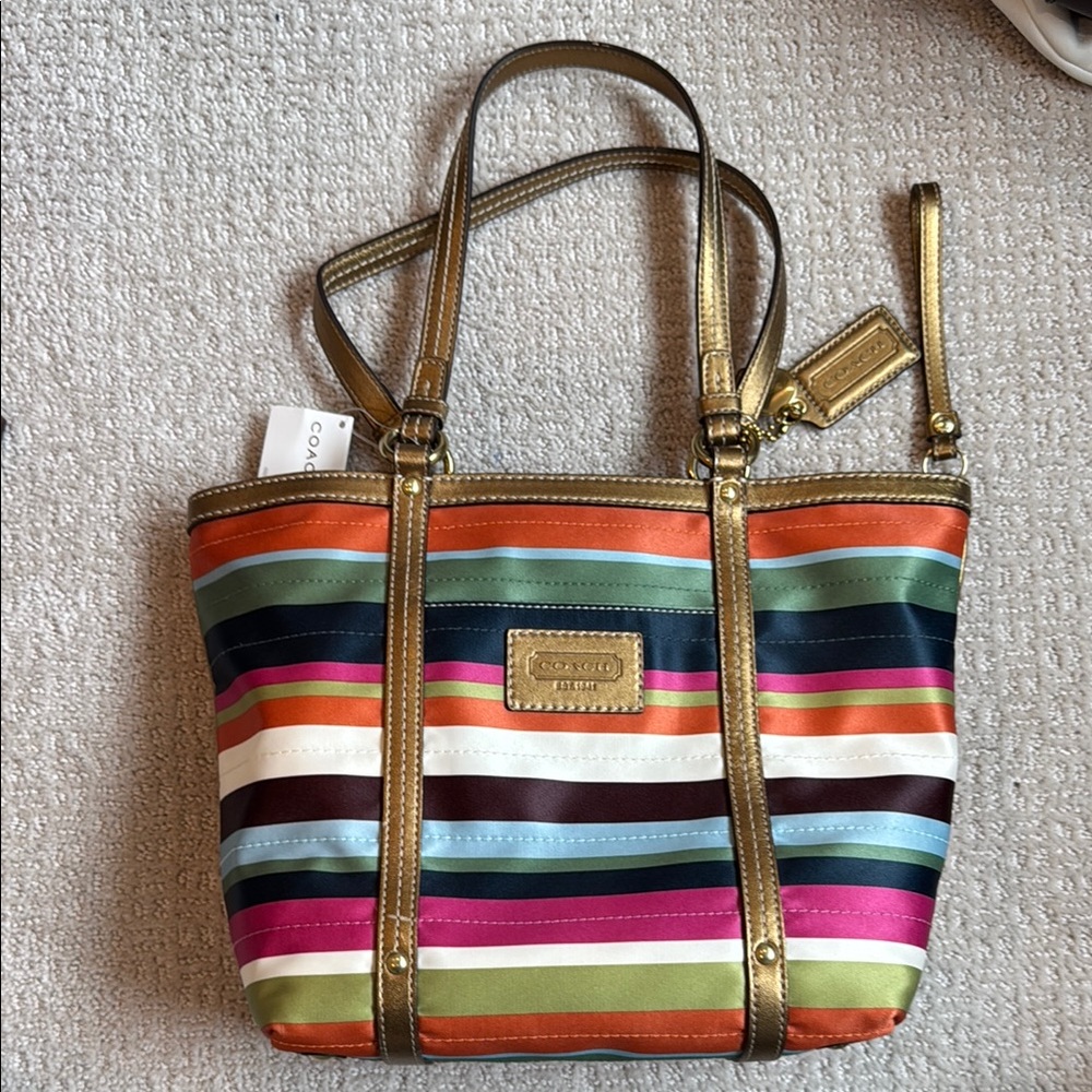 Coach Multicolor Striped Tote Bag